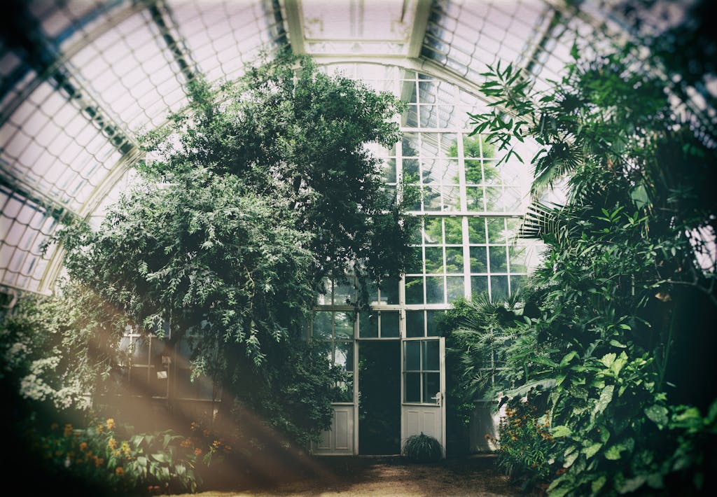 Beautiful greenhouse interior filled with lush greenery and sunlight streaming through glass.
